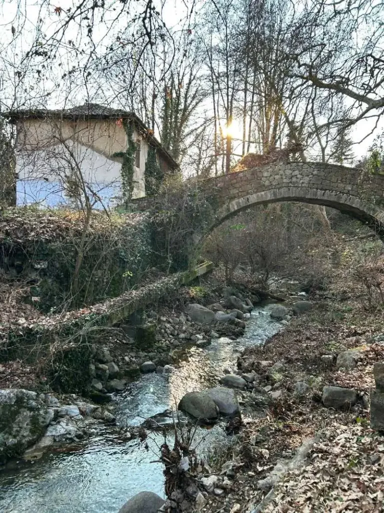 Ξάνθη: «Περιμένοντας τα Χριστούγεννα στο Κάτω Καρυόφυτο»