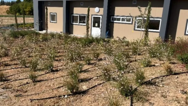 Θεσσαλονίκη: 15 θεματικοί κήποι στην ΑΓΣ προάγουν βιώσιμες πρακτικές και την ανθεκτικότητα στην κλιματική κρίση