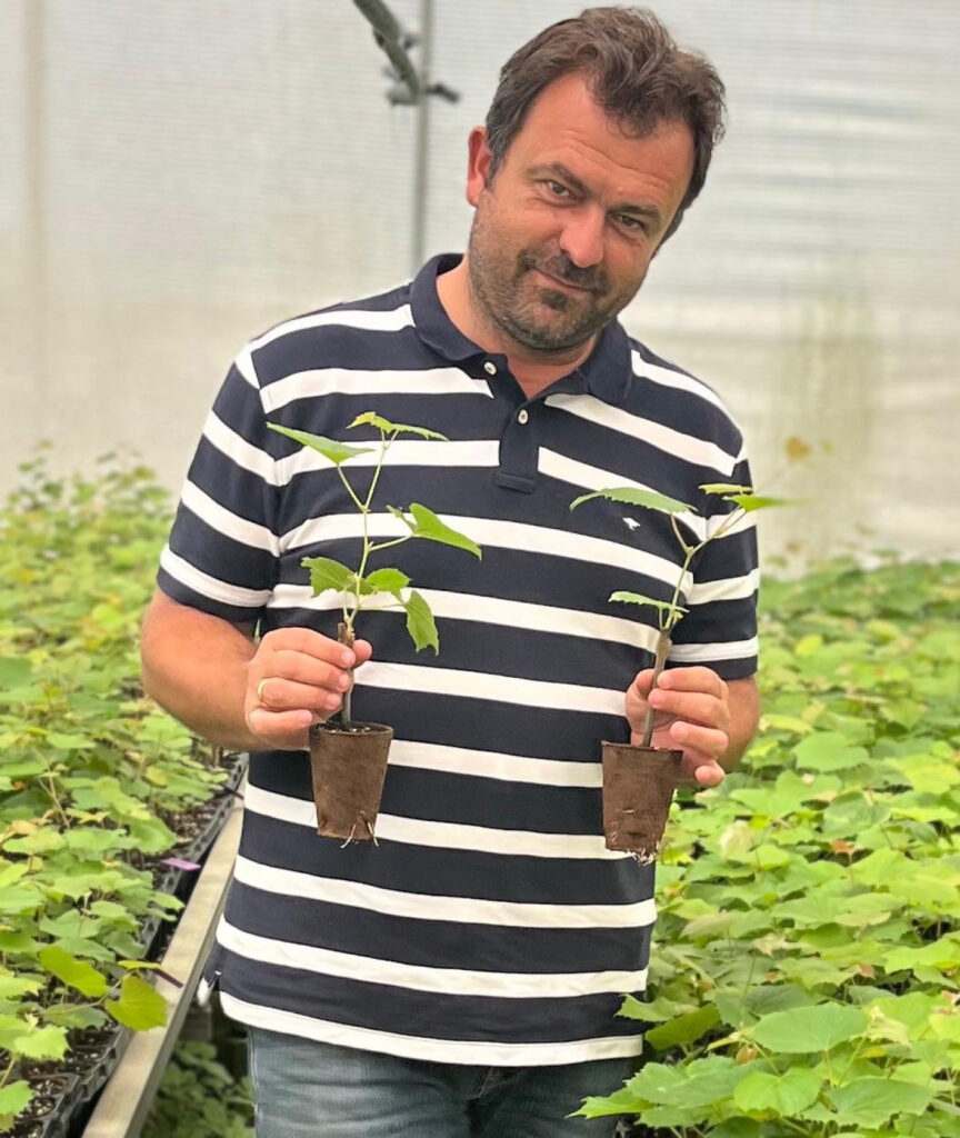 Καλλιέργεια ελληνικών αμπελιών από τη Γαλλία μέχρι την Αυστραλία, τις ΗΠΑ και το Ισραήλ, λόγω και της κλιματικής κρίσης