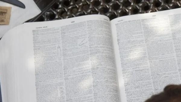 «Rage bait», αλλιώς «δόλωμα οργής» η Λέξη της Χρονιάς 2025 του Λεξικού της Οξφόρδης