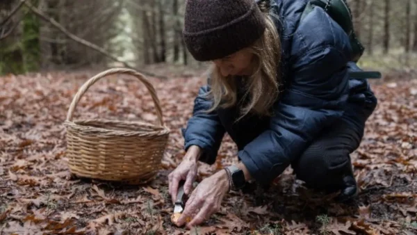 Μανιταρο-προορισμός φιλοδοξεί να γίνει η Αρναία Χαλκιδικής, με μανιταροσαφάρι και συνταγές με τρούφα