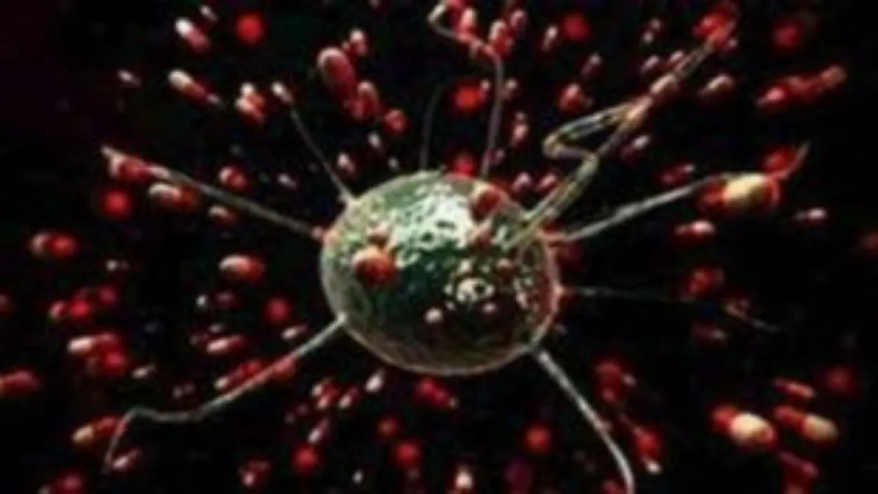 Η μικροβιακή αντοχή είναι πιο εκτεταμένη από όσο γνωρίζουμε