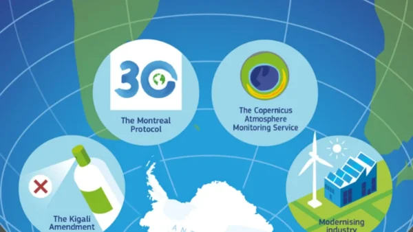 Αισιόδοξες επιστημονικές ιστορίες του 2025, σύμφωνα με το Nature