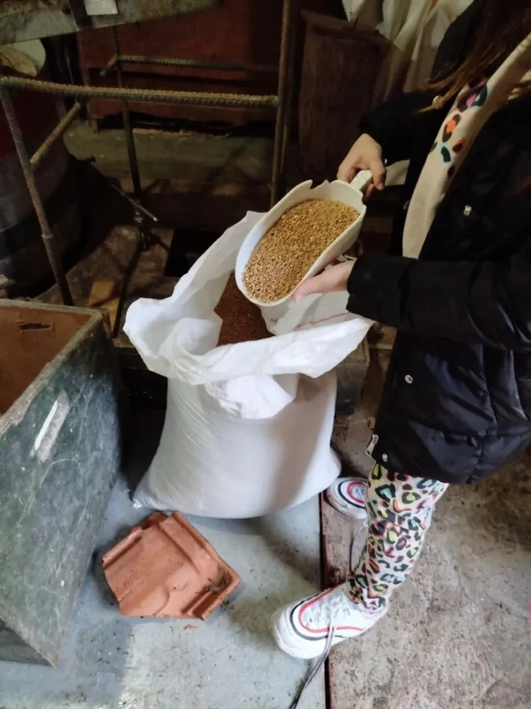 Καβάλα: Όταν ο παλιός νερόμυλος γίνεται σχολείο ζωής και αειφορίας