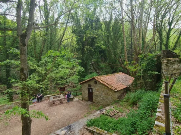 Καβάλα: Όταν ο παλιός νερόμυλος γίνεται σχολείο ζωής και αειφορίας