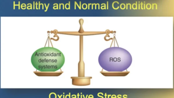 Οξειδωτικό στρες: Ο άγνωστος εχθρός της υγείας μας