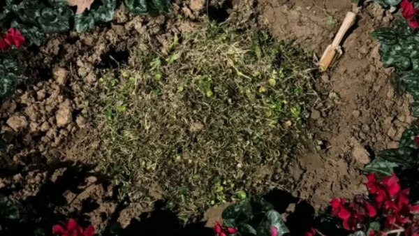 Ξήλωσαν και εξαφάνισαν τη μαρμάρινη πλάκα για τις κακοποιημένες γυναίκες