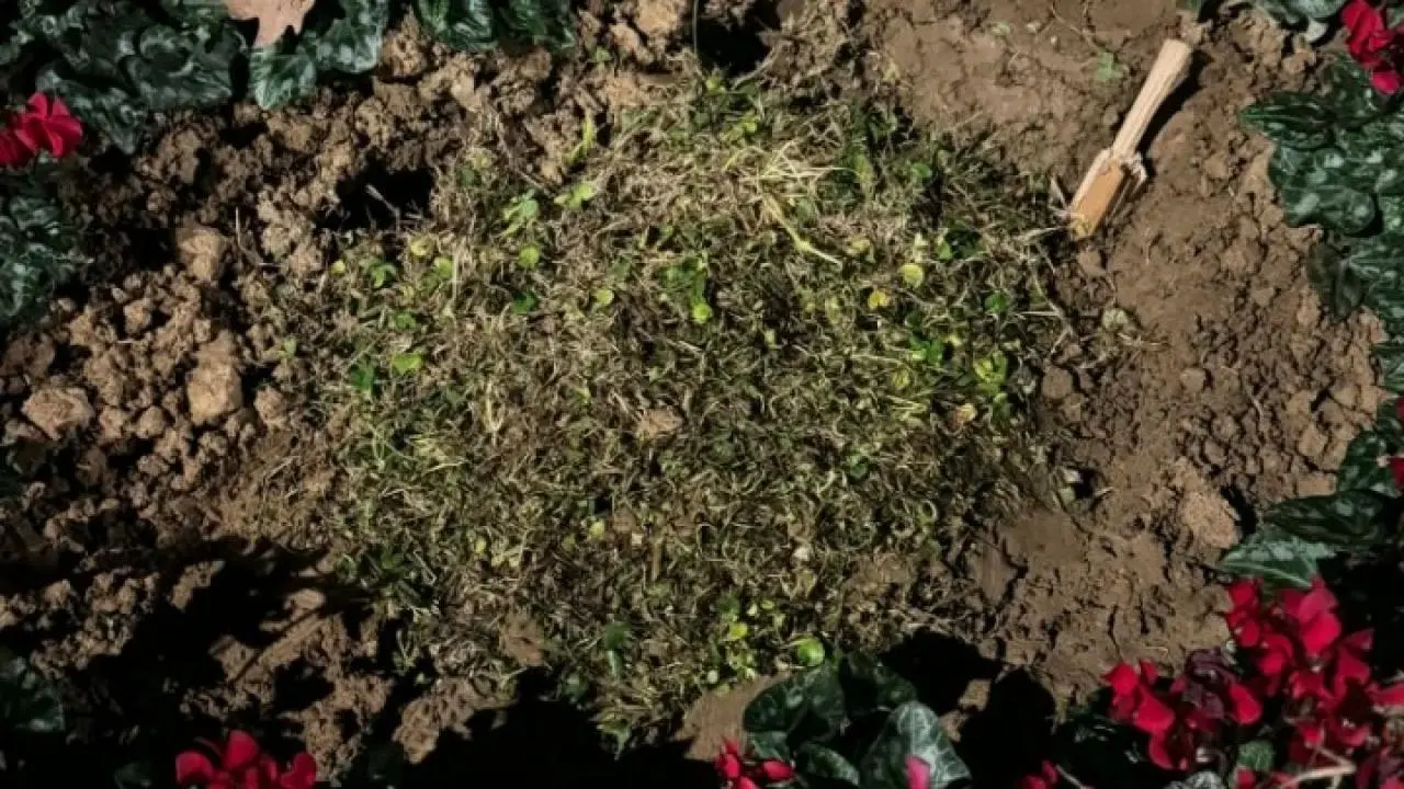 Ξήλωσαν και εξαφάνισαν τη μαρμάρινη πλάκα για τις κακοποιημένες γυναίκες