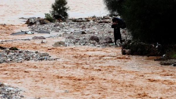 Εύβοια: Πλημμυρισμένα σπίτια και επιχειρήσεις - Συνεχίζει η Πυροσβεστική την άντληση υδάτων - Κλειστά τα σχολεία