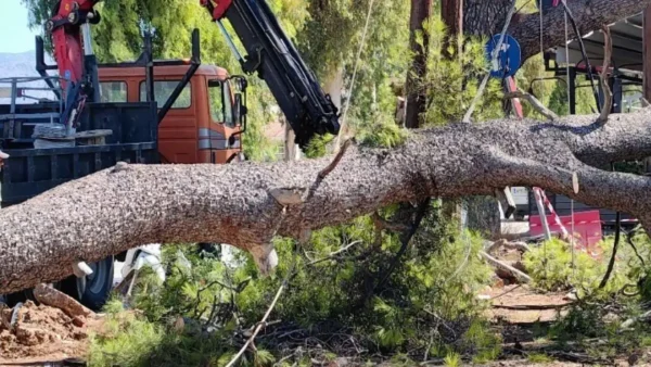 Πτώσεις δεκάδων δέντρων και πινακίδων από τους ισχυρούς ανέμους μέχρι και 8 μποφόρ
