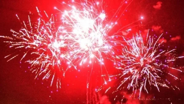 Ειδική Γραμματεία για την Προστασία των Ζώων Συντροφιάς: Στις εορταστικές εκδηλώσεις υιοθετήστε τα αθόρυβα πυροτεχνήματα