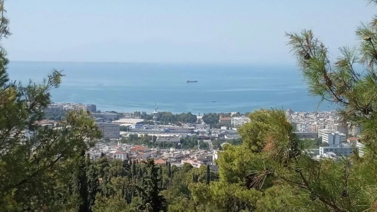 Σχεδόν τετραπλάσια έκταση κάλυψαν οι αεροψεκασμοί στο Σέιχ Σου για την πευκοκάμπια