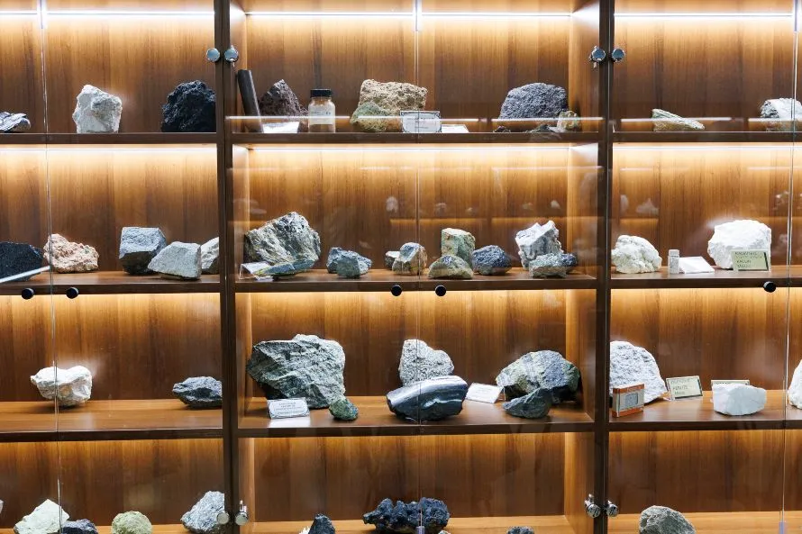 Εγκαίνια βιβλιοθήκης ΣΘΕ του ΑΠΘ στον χώρο όπου υπήρχε η κατάληψη του Βιολογικού