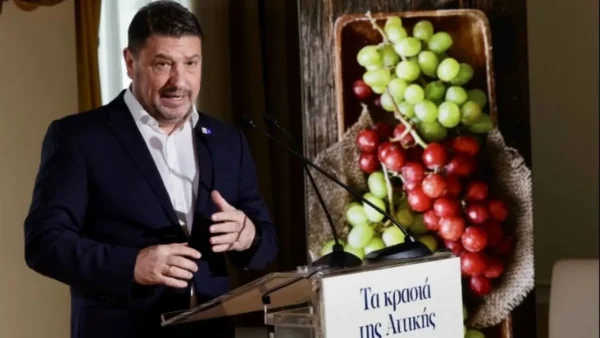 Ν. Χαρδαλιάς: Ο αττικός αμπελώνας είναι κρίκος της ταυτότητάς μας – Επενδύουμε στο έργο των οινοπαραγωγών μας, με σχέδιο, συνέπεια και αποτέλεσμα