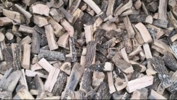 Χαλκιδική: Άνδρας 79 ετών έχασε τη ζωή του όταν καταπλακώθηκε από κορμό δέντρου προσπαθώντας να κόψει ξύλα