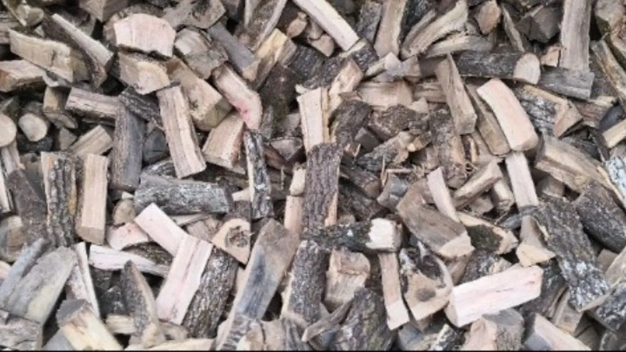 Χαλκιδική: Άνδρας 79 ετών έχασε τη ζωή του όταν καταπλακώθηκε από κορμό δέντρου προσπαθώντας να κόψει ξύλα