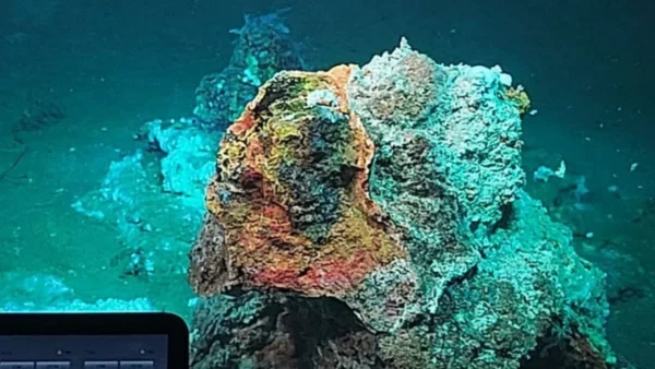 Άγνωστα μέχρι σήμερα υποθαλάσσια υδροθερμικά πεδία αποκαλύπτει έρευνα στη Μήλο