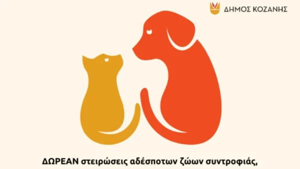Κοζάνη: Δωρεάν στειρώσεις αδέσποτων ζώων συντροφιάς, δεσποζόμενων ζώων ευπαθών κοινωνικών ομάδων αλλά και ποιμενικών σκύλων