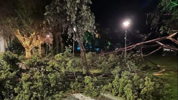 Αλεξανδρούπολη: Το χρονικό της επέλασης του ανέμου που σε λίγα λεπτά σάρωσε τα πάντα στο διάβα του