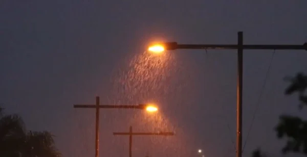 Καιρός: Κρύο, χιόνια και θυελλώδεις άνεμοι για 48 ώρες - video