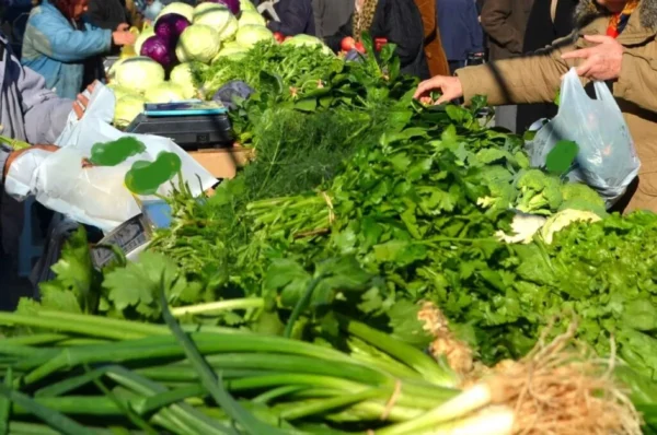 Τρόφιμα πολυτελείας για τους καταναλωτές - Οι αυξήσεις καταπίνουν μισθούς και συντάξεις - video