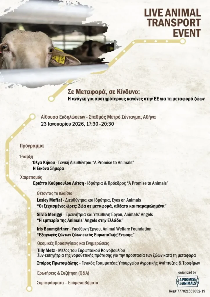 Aνοιχτή εκδήλωση για τη μεταφορά ζώντων παραγωγικών ζώων από την «A Promise to Animals»