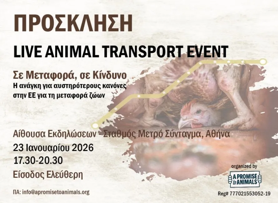 Aνοιχτή εκδήλωση για τη μεταφορά ζώντων παραγωγικών ζώων από την «A Promise to Animals»