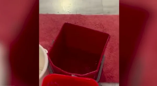 "Κάτω από τη βροχή¨" το Μουσικό Σχολείο Σερρών: Τα νερά στη σχολική οροφή δείχνουν τις τεχνικές ελλείψεις - video