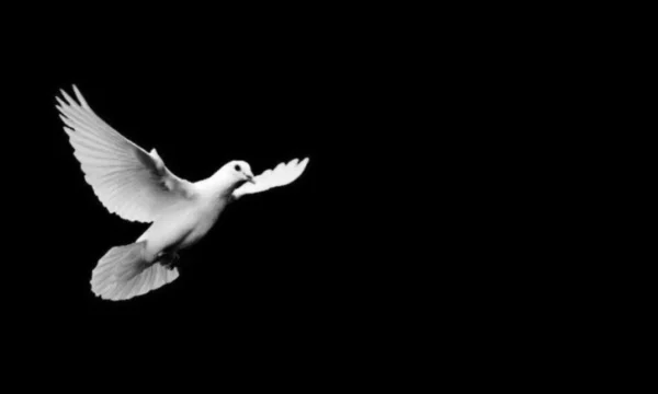 Κώστας Σ. Πασχαλίδης: Σήμερα η πόλη έπρεπε να είναι θεοσκότεινη. Να σιωπά και να θρηνεί