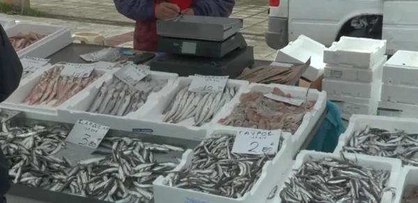 Λαϊκή αγορά Σερρών: Ψάρια σε καλές τιμές αλλά με μέτρο οι αγορές - video