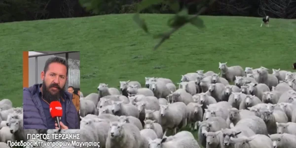 Κτηνοτρόφοι: "Χωρίς εμβολιασμό δεν υποχωρούμε" - Σύσκεψη στα Μάλγαρα - video
