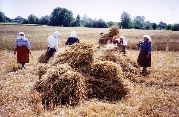 Λέξεις που χάθηκαν, επαγγέλματα που έζησαν μέσα από το βιβλίο με 122 επαγγέλματα του περασμένου αιώνα στο Σουφλί