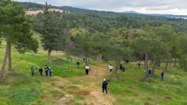 Φυτεύτηκαν 1.000 νέα δέντρα στην Τριανδρία