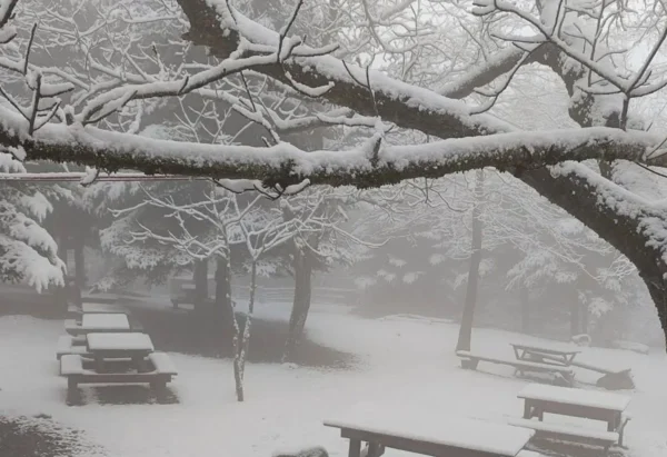 Τώρα: Ξεκίνησε να χιονίζει στη Θεσσαλονίκη – Δείτε βίντεο