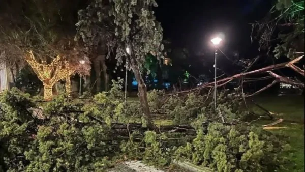 Αλεξανδρούπολη: Στις 68 ανέρχονται, μέχρι στιγμής, οι αιτήσεις των επιχειρήσεων που επλήγησαν από την καταιγίδα και στις 150 οι κατοικίες που υπέστησαν ζημίες