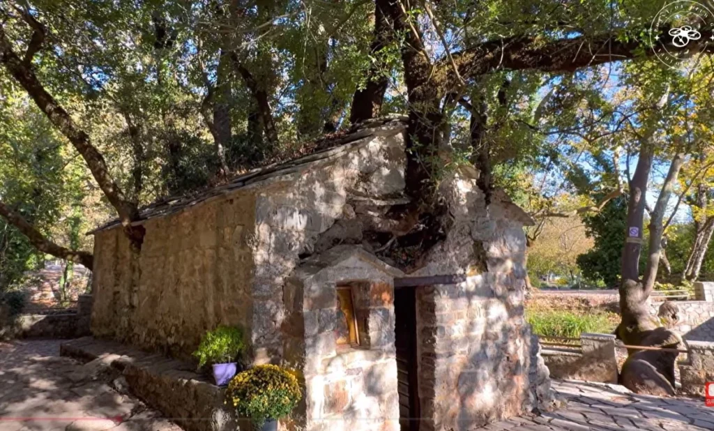 Η εκκλησία με τα δέντρα στη στέγη: Μοναδικό Θαύμα της Φύσης, δείτε βίντεο