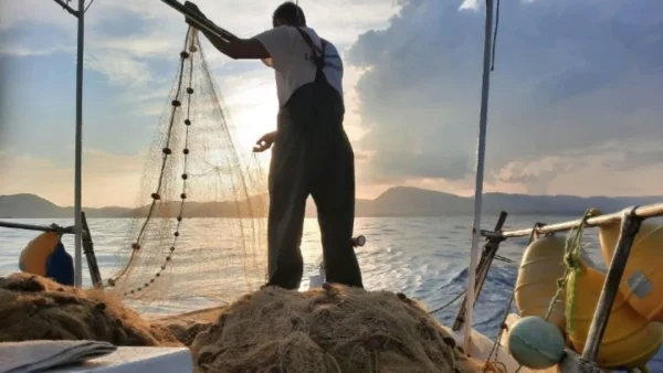 WWF: Διασφαλίζοντας το μέλλον της αλιείας στη Μεσόγειο και τη Μαύρη Θάλασσα