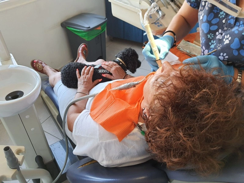 Από τον δρόμο, βοηθός σε οδοντιατρείο – Η τετράποδη Άριελ που διώχνει το άγχος για τον τροχό και τη σύριγγα