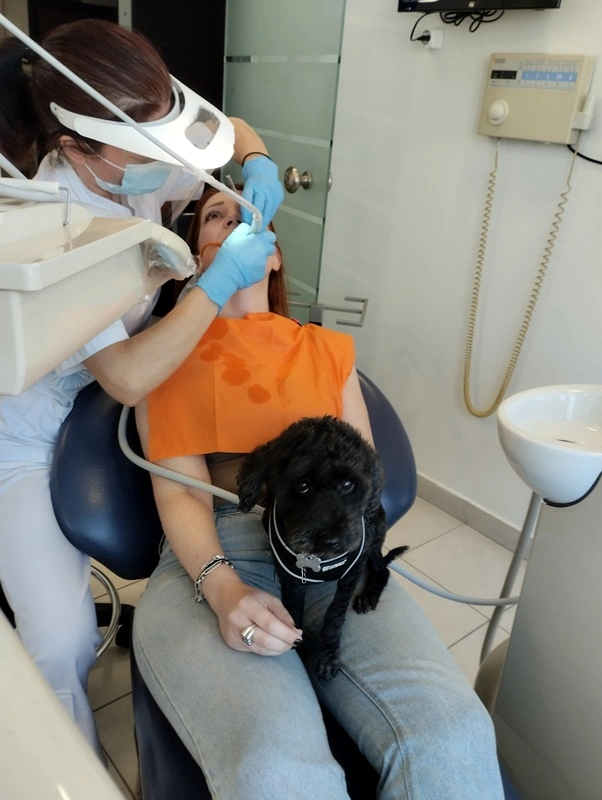 Από τον δρόμο, βοηθός σε οδοντιατρείο – Η τετράποδη Άριελ που διώχνει το άγχος για τον τροχό και τη σύριγγα