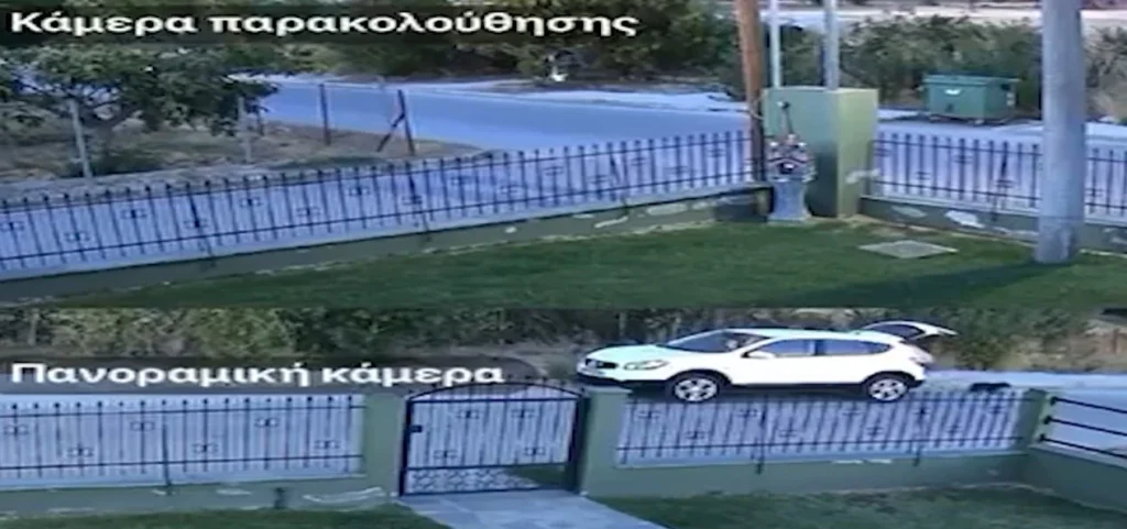 Από τις Σέρρες ο δράστης που εγκατέλειψε μητέρα και 3 κουτάβια στη Δράμα - Πρόστιμο 20 χιλ. ευρώ και δίωξη για κακούργημα - video