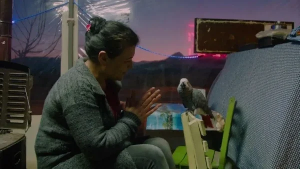 Με 57 ελληνικά ντοκιμαντέρ το πρόγραμμα του 28ου ΦΝΘ - Διεκδικούν σημαντικά βραβεία που θα ενισχύσουν το ελληνικό σινεμά