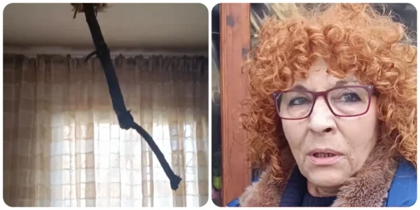 Σέρρες: Κλαδί τρύπησε στέγη σπιτιού - Γύρισε στο σπίτι και το βρήκε καρφωμένο στην κρεβατοκάμαρα - video
