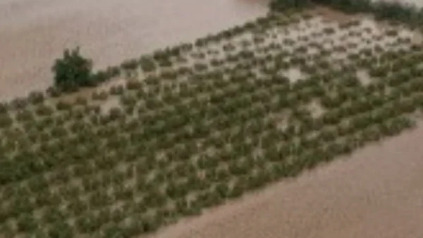 Αίτημα για κήρυξη της Λήμνου σε κατάσταση Έκτακτης Ανάγκης - Εκτεταμένες καταστροφές λόγω των πλημμυρικών φαινομένων