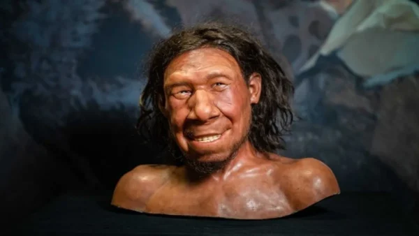 Μελέτη ασχολήθηκε με τη σεξουαλική ζωή των ανθρώπων του Νεάντερταλ και των Homo Sapiens