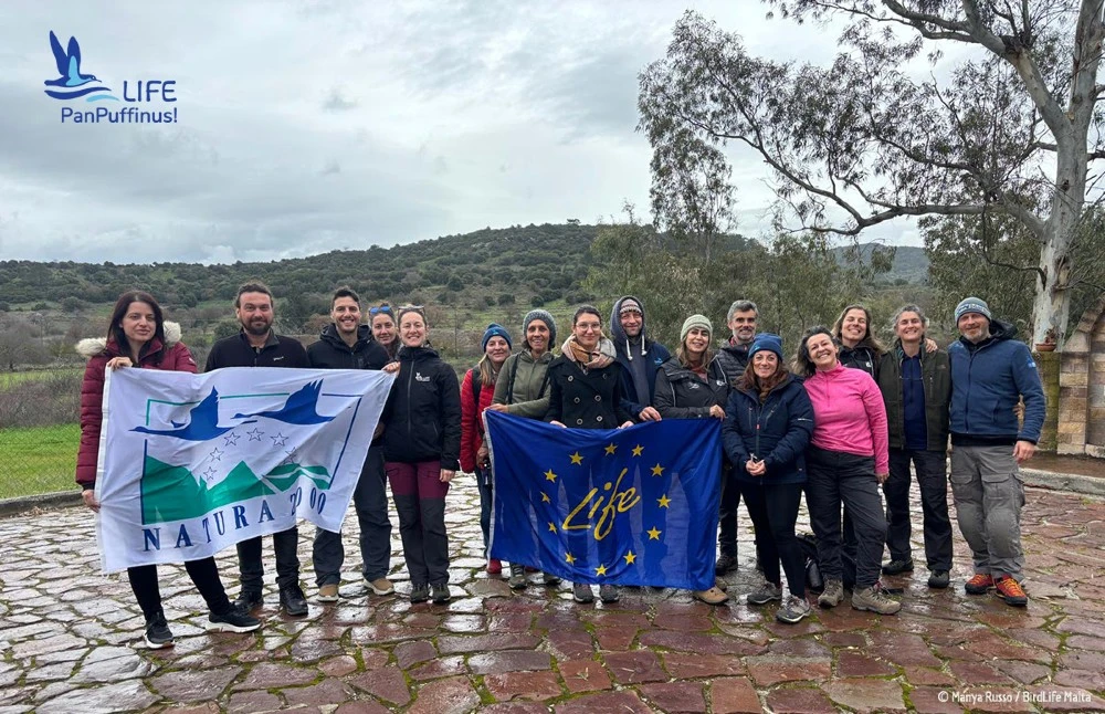 Ελληνική Ορνιθολογική Εταιρεία: Πέντε χρόνια δράσης για την προστασία των Μύχων της Μεσογείου