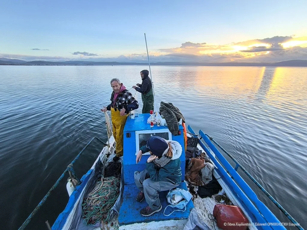 Ελληνική Ορνιθολογική Εταιρεία: Πέντε χρόνια δράσης για την προστασία των Μύχων της Μεσογείου