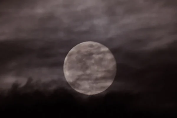 NASA: Στις αρχές Μαρτίου η πρώτη επανδρωμένη πτήση γύρω από τη Σελήνη μετά από 50 χρόνια