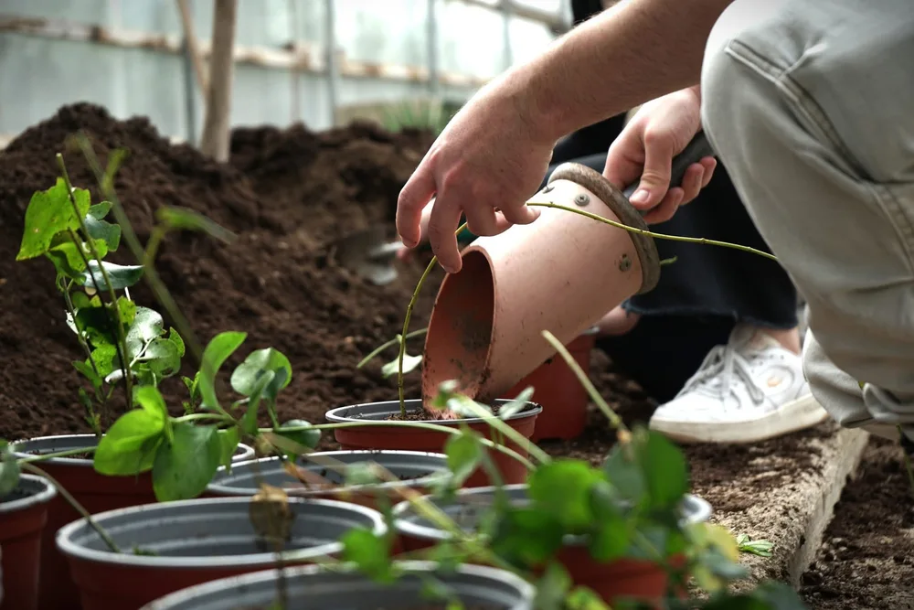 Κήπο της «κοινωνίας και των πολιτών» δημιούργησε στη Ρόδο η υπηρεσία Πρασίνου του δήμου