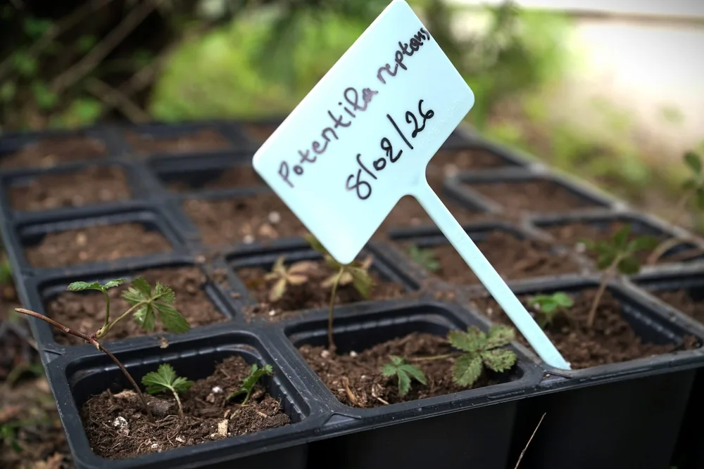 Κήπο της «κοινωνίας και των πολιτών» δημιούργησε στη Ρόδο η υπηρεσία Πρασίνου του δήμου