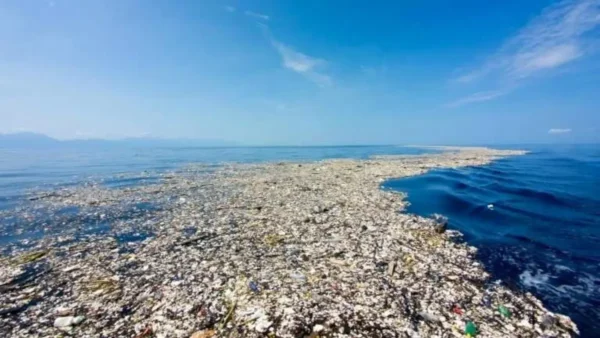 Επιστήμονες προειδοποιούν την ανθρωπότητα για επικίνδυνο «νησί» που δεν θα έπρεπε να υπάρχει